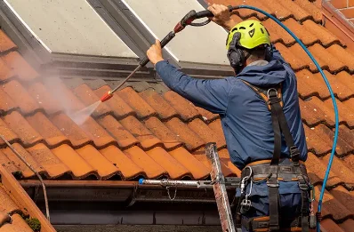 Démoussage et hydrofuge de toiture à Laviolle
